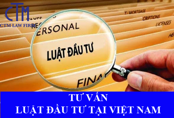 tu-van-luat-dau-tu