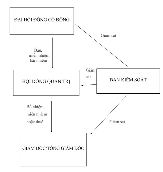 co-cau-to-chuc-cua-cong-ty-co-phan